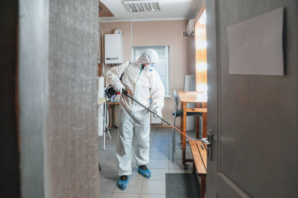  Hollywood, FL Mold Removal Pros