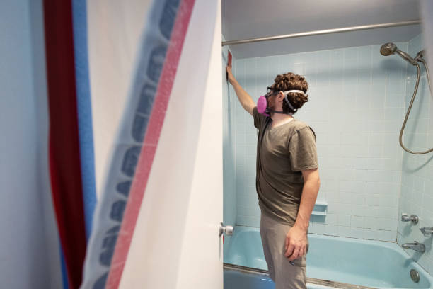 Best Mold Damage Restoration  in Hollywood, FL