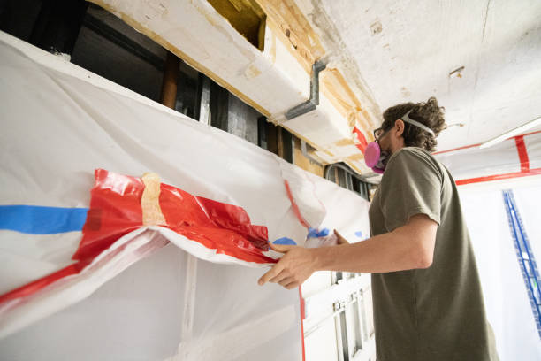 Hollywood, FL Mold Removal Company