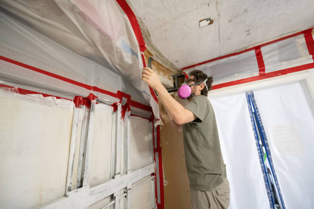 Mold Removal for HVAC Installations in Hollywood, FL