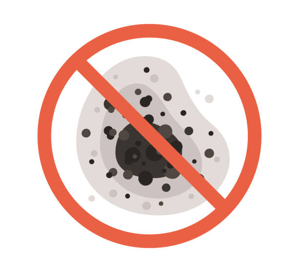 Best Forensic Mold Investigation  in Hollywood, FL
